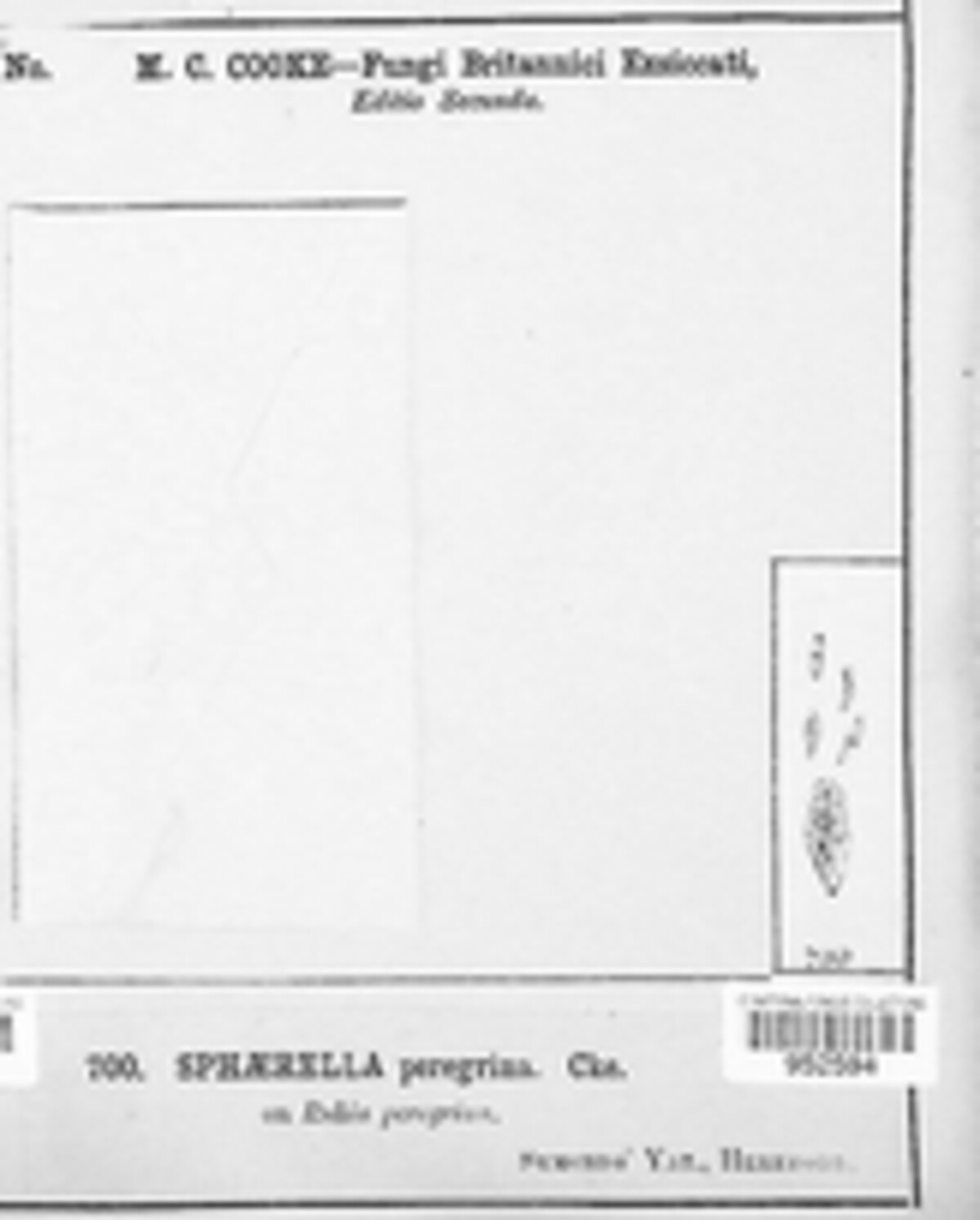 Mycosphaerella peregrina image